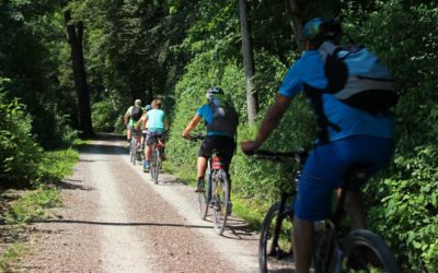 Les Alpilles à vélo autour d’Orgon
