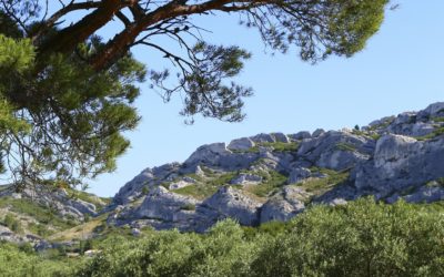 Randonnées dans les Alpilles depuis Orgon